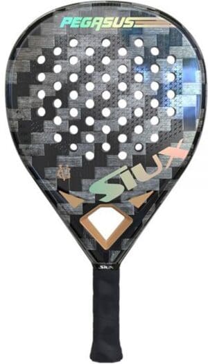 Siux Pegasus GV Edition - 24K (Hybrid) - 2023 padel racket grijs/goud
